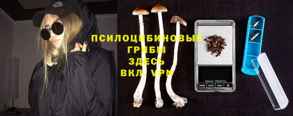 PSILOCYBIN Верея